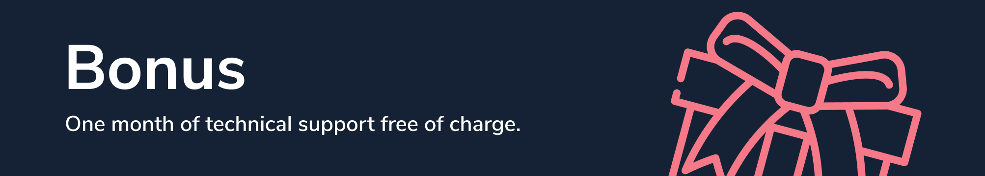 Bonus - One month of technical support for free