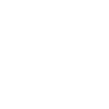 Apple icon