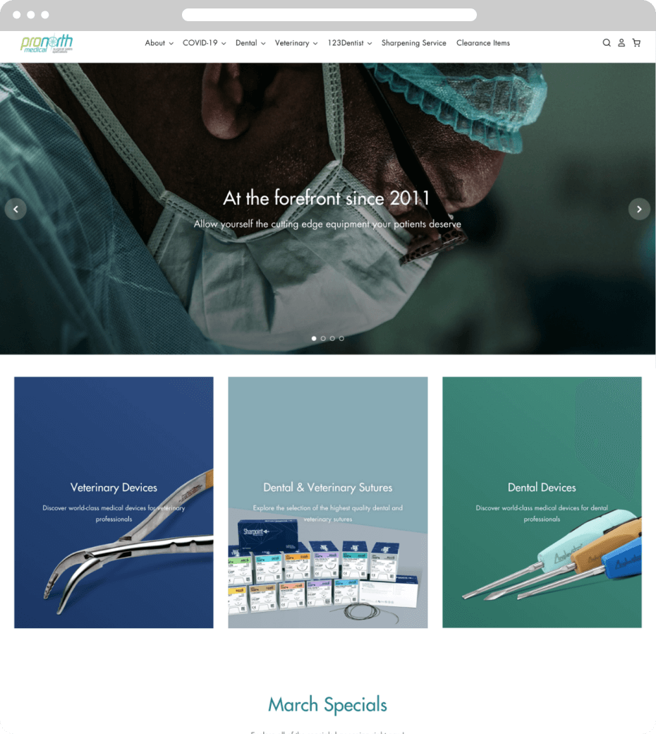 Landing page screenshot of the ProNorth Medical Corporation website