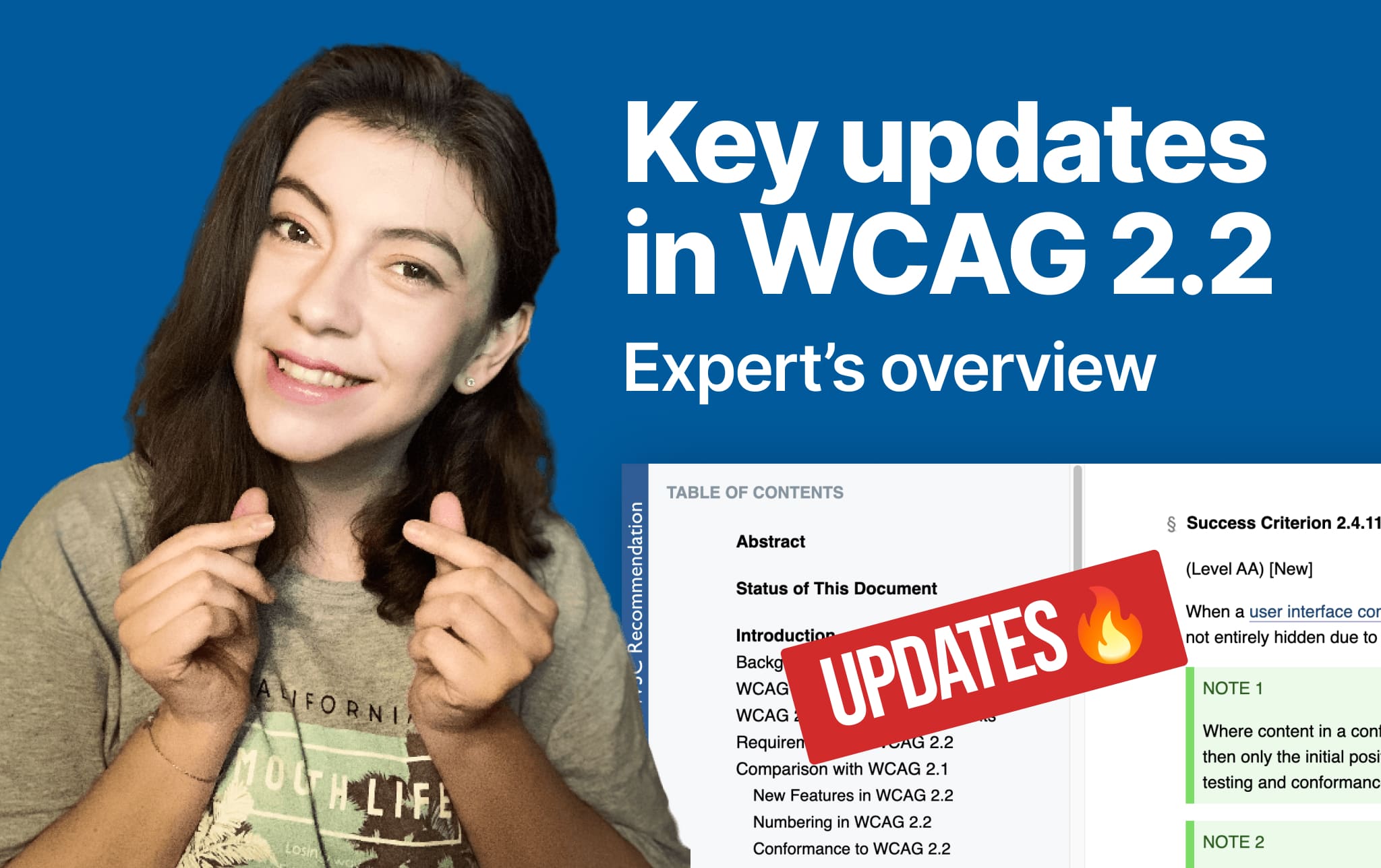 Key updates in WCAG 2.2 Expert’s overview